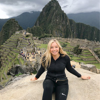 Katie Wilkins avatar image