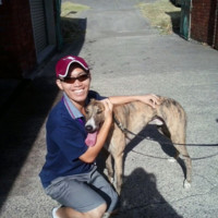 Jinbin Liang avatar image