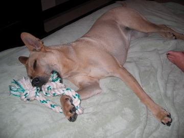 Ivana Kirkbride avatar image