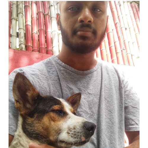 Anush Clive Fernandes avatar image