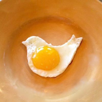 Michele Mandell avatar image