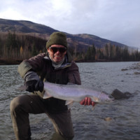 William Grossman avatar image