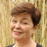 Svetlana Komissarouk avatar image