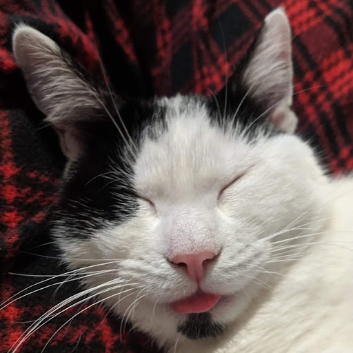 Jonathan Cote avatar image