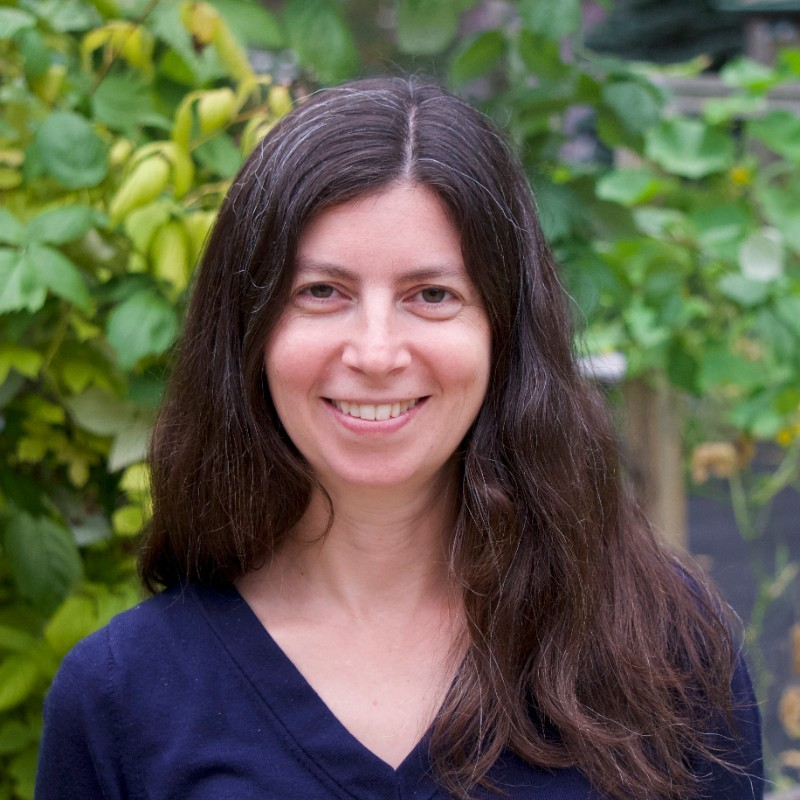 Emily Lambert avatar image