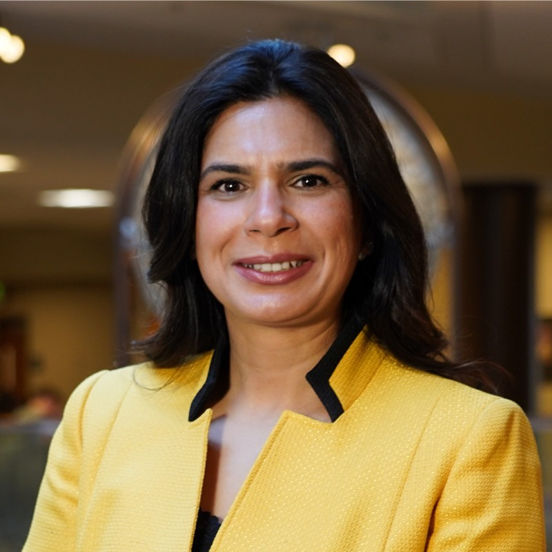 Nina Mahmoudian avatar image