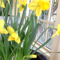 Jacinta Brown Hughes avatar image