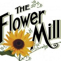 Stacy Schaap avatar image