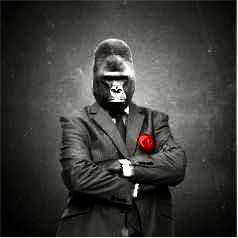 David Lewis, MFP, CTEP avatar image