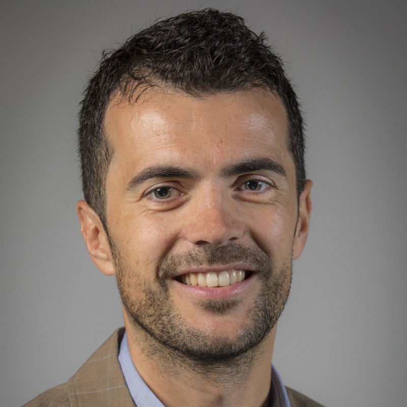 Bruno Catarsi avatar image