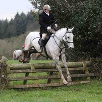 Michael Shryane avatar image