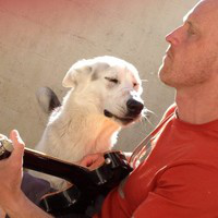 Dom Moore avatar image