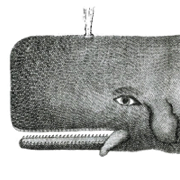 Gregory Poulos avatar image