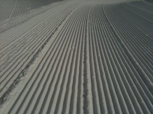 Greg Wasson avatar image