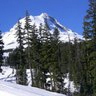 Grace Bagley avatar image