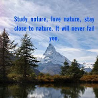 Paul O'Connell avatar image