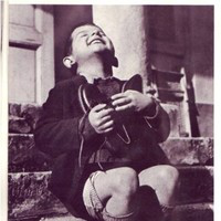 Jan Nietfeld avatar image