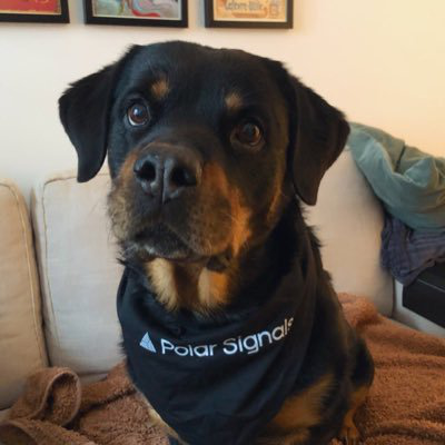 Kemal Akkoyun avatar image