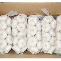 Kong Mai avatar image