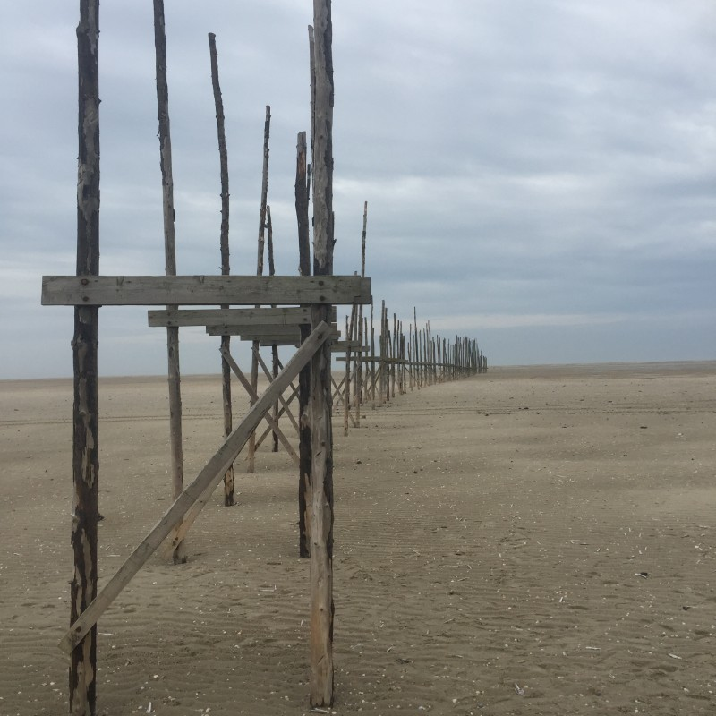 Mascha Molenaar avatar image