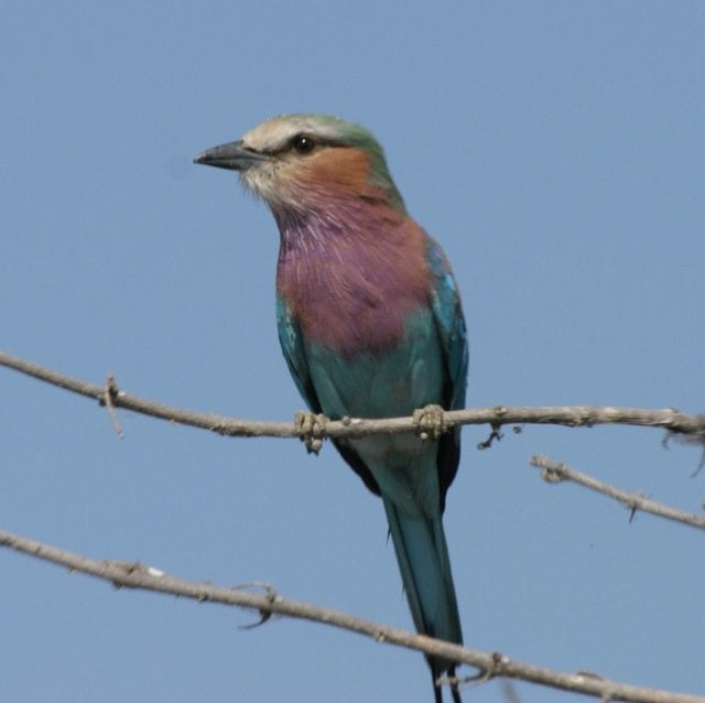 Jason Dunn avatar image