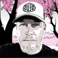 David Rowley avatar image