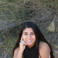 Priti Yadav avatar image