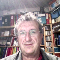 Alessandro Annunziato avatar image