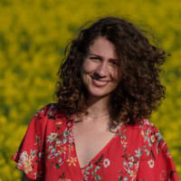 Nino Gvetadze avatar image