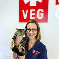 Candi Sasser avatar image