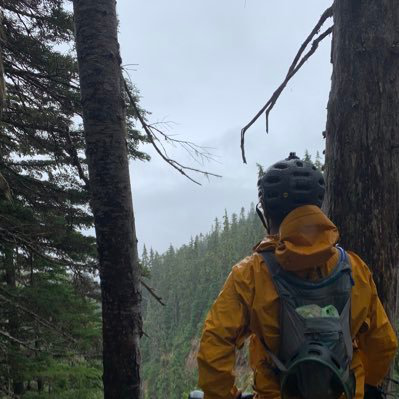 Finbarr Timbers avatar image