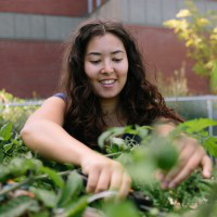 Kristen Perry avatar image