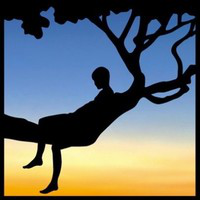 David Anselmo avatar image