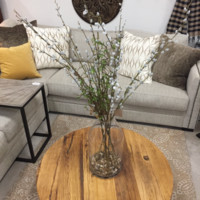 Marge Schumacher avatar image