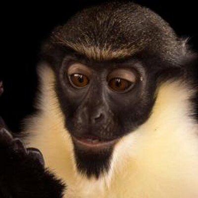James Savage avatar image