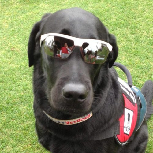 Denis Oliverio avatar image