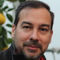 Ron Gianadda avatar image