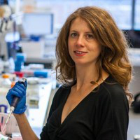 Ingrid Pultz avatar image