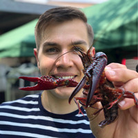 Walker Alvey avatar image