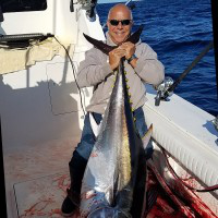 Mark Crescenzo avatar image