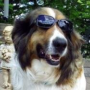 Jerry Theisen avatar image