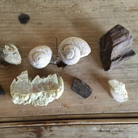 Brooke Stroud avatar image