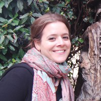 Jill De Lisi avatar image