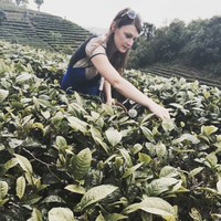 Alison Freeman avatar image