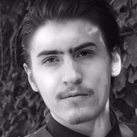 Leon Niesler avatar image