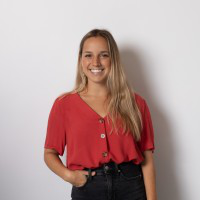 Noy Segal avatar image