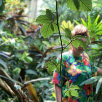 Katie Murphy avatar image