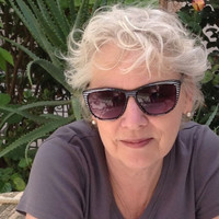 Annie Collins avatar image