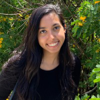 Nikita Sareen avatar image