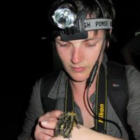 Kelly Dalton avatar image